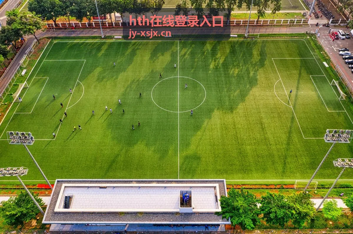 hth在线登录入口常见问题指引与提示信息对照示意